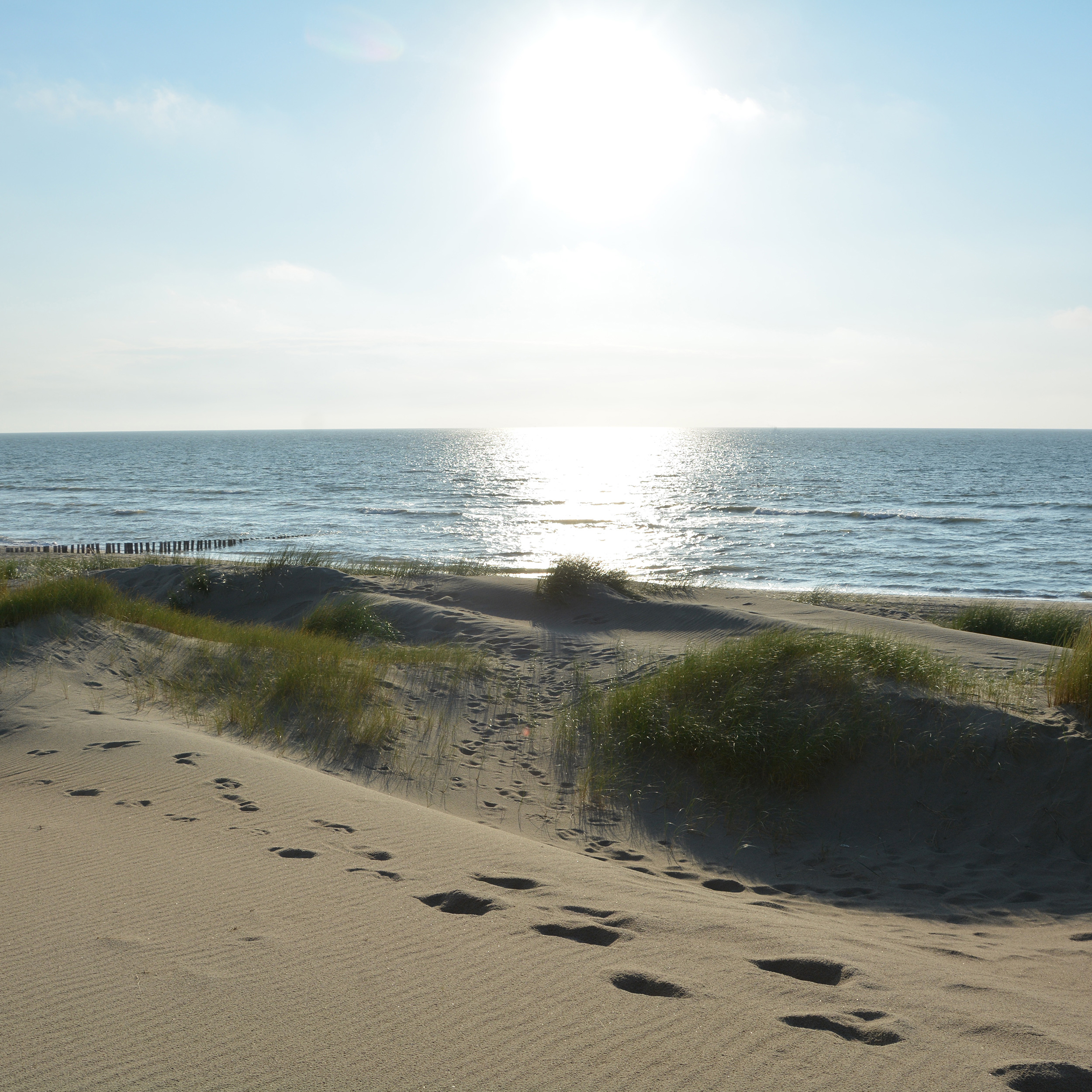 Spuren im Sand einer Dünenlandschaft. © FotoEvans via istockphoto.com